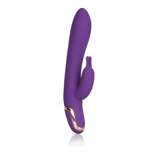 "Entice Isabella - Purple SE4735303"