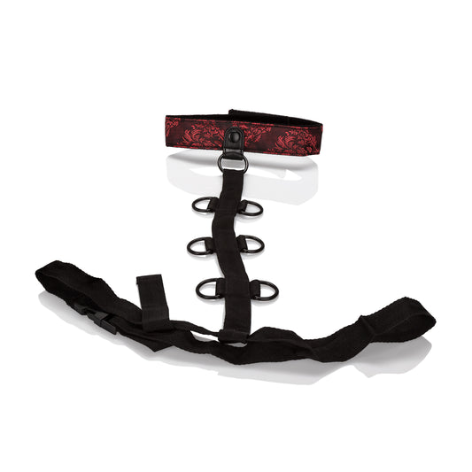 "Scandal Collar Body Restraint SE2712733"