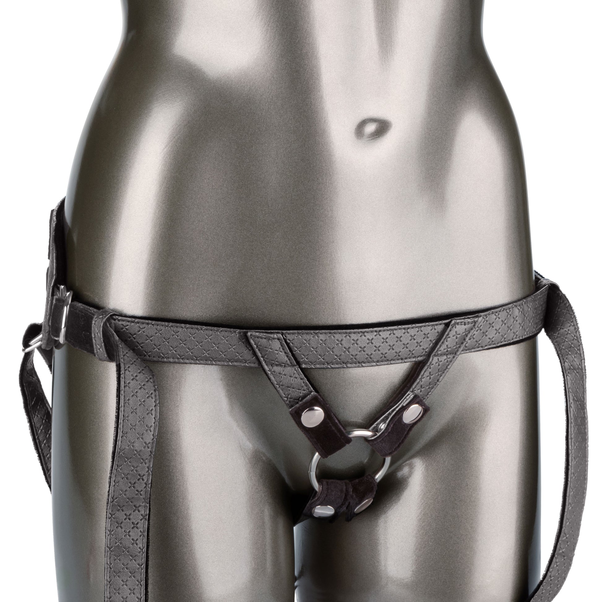 "Her Royal Harness the Regal Princess - Pewter SE1563373"